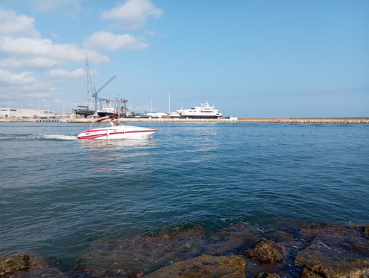 EMBARCACIÓN CROWLINE 248 CCR