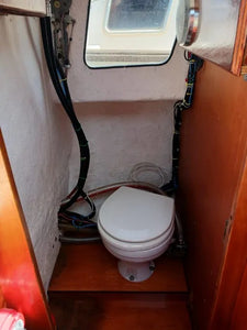 Llaut Capeador 36